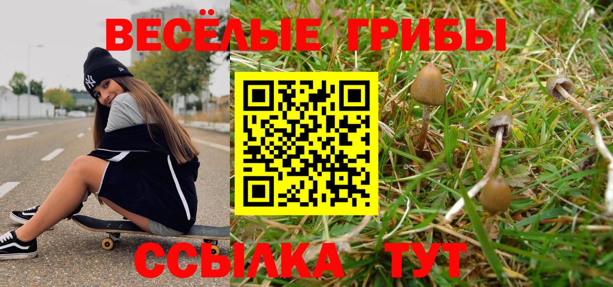 Ухта  Псилоцибиновые грибы Psilocybe  Вход с VPN  Галлюциногенные грибы Psilocybe 