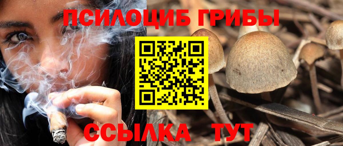 Галлюциногенные грибы GOLDEN TEACHER Ухта